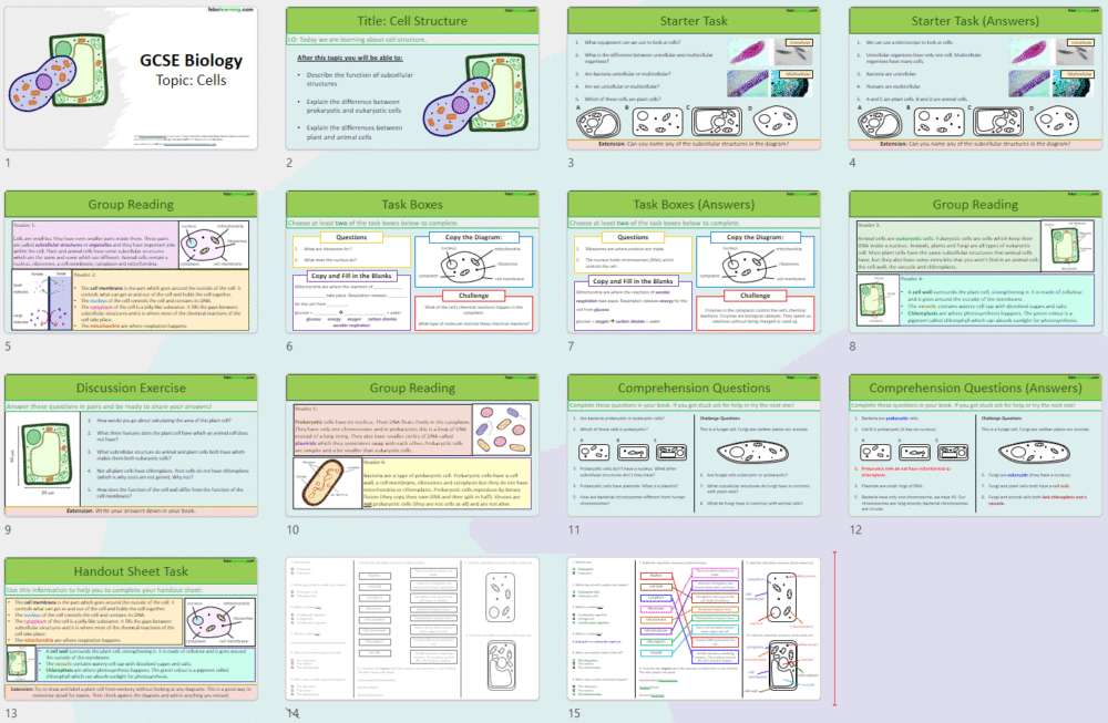 GCSE Cell Structure slide thumbnails Thumbnail of the lesson slides from the GCSE Biology lesson, Cell Structures.
