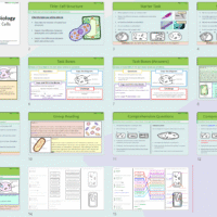 GCSE Cell Structure slide thumbnails Thumbnail of the lesson slides from the GCSE Biology lesson, Cell Structures.