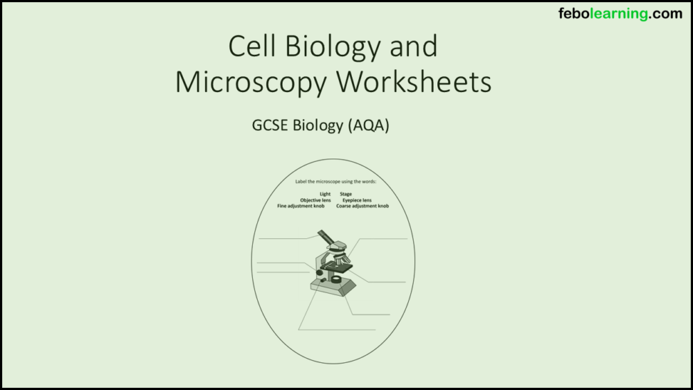 GCSE Biology Topic 1 Cells: Refresh and Expand Revision Sheets