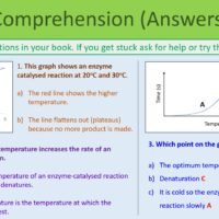 Preview of Enzymes Revision Comprehension Exercise