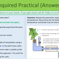 Revision Plant Organisation Practical Preview of Revision Plants Required Practical