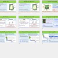 GCSE Biology Topic 2 Organisation: Revision Plants Thumbnails of lesson slides