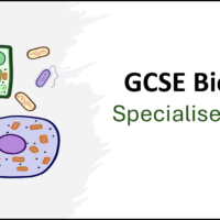SpecCellsGCSE_Biology_Title Graphic showing title slide for GCSE Biology Topic 1 Cells: Differentiation and Specialised Cells