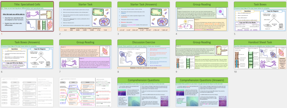Specialised_Cells_Slide_previews Thumbnail of lesson slides from GCSE Biology Topic 1 Cells: Differentiation and Specialised Cells