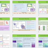 Specialised_Cells_Slide_previews Thumbnail of lesson slides from GCSE Biology Topic 1 Cells: Differentiation and Specialised Cells