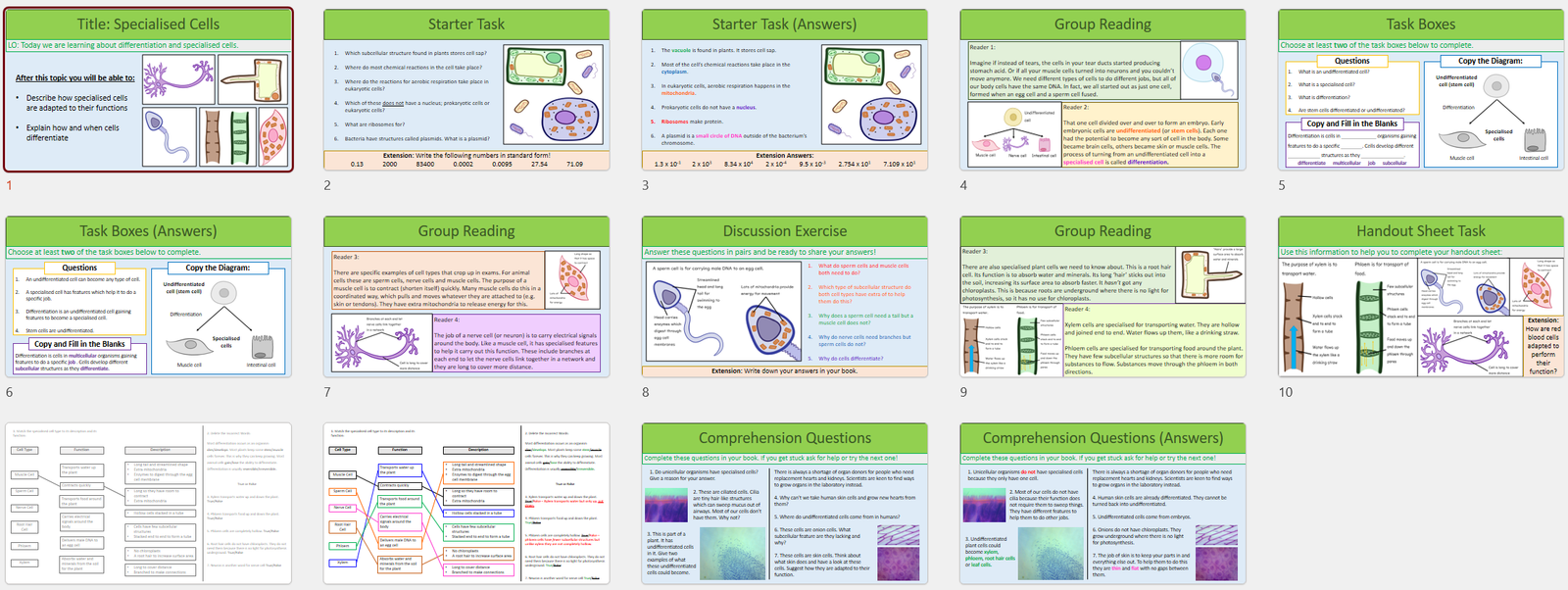 GCSE Biology Differentiation and Specialised Cells Lesson 📚️ ...