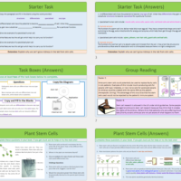 Thumbnail slides for GCSE Stem Cells lesson