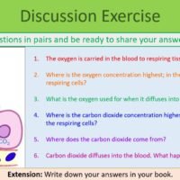 Preview of Discussion Slide