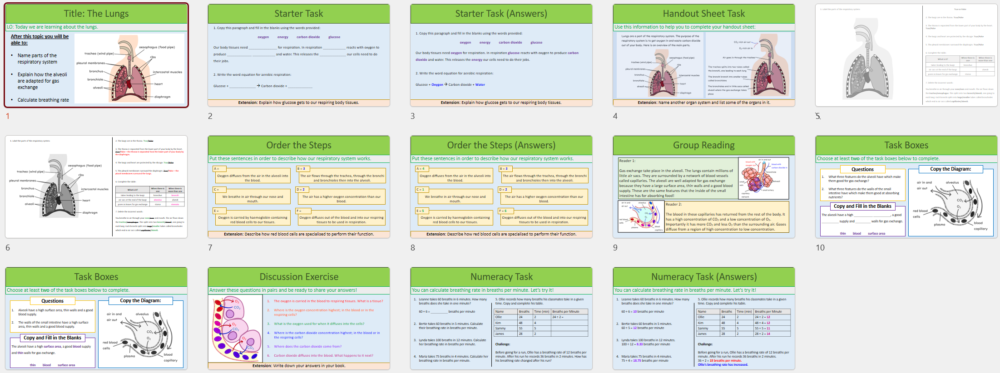 Thumbnail of GCSE Biology Topic 2 Organisation: The Lungs lesson slides