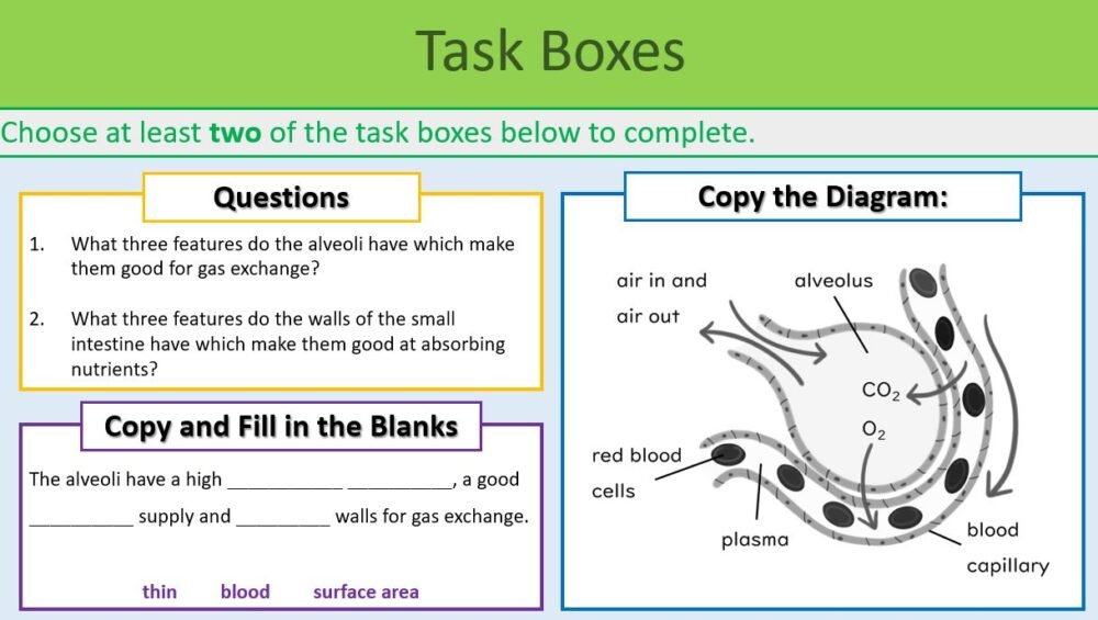 Preview of task boxes slide