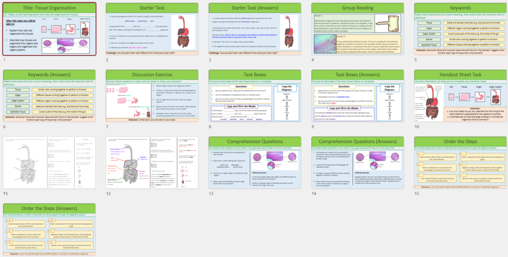 Thumbnails of lesson slides