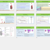 Thumbnails of lesson slides