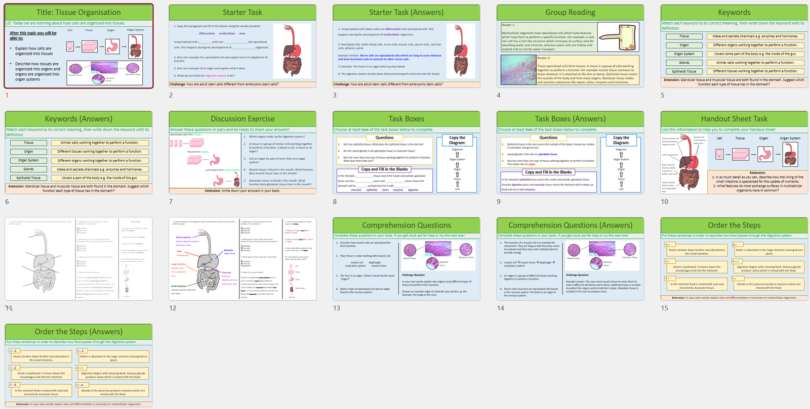 GCSE Biology Topic 2 Organisation: Tissue Organisation - febolearning.com