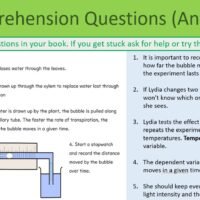 Transpiration Rate Comp Qs Preview of Transpiration Rate Comprehension Q and As