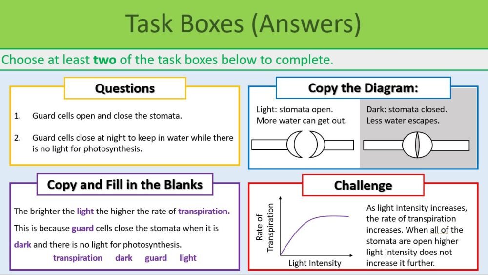 Transpiration Rate Task Boxes GCSE Biology Topic 2 Organisation: Transpiration Rate Task Boxes Exercise