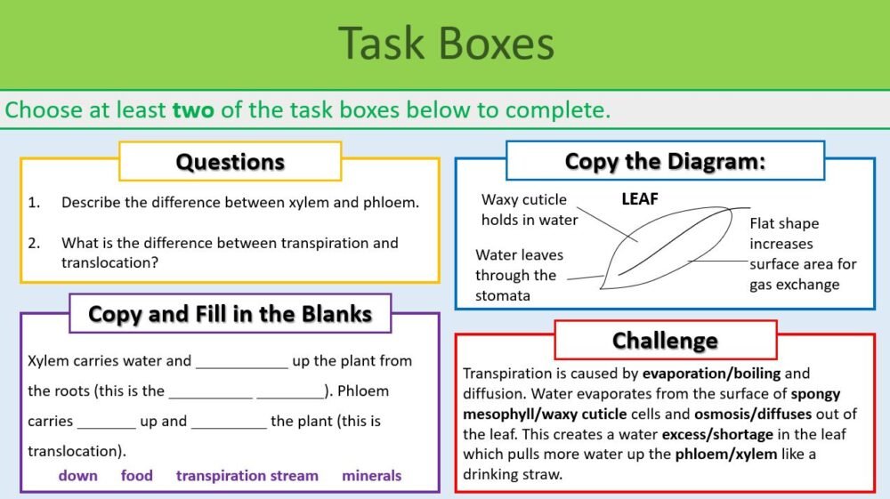 Transpiration and Translocation Task Boxes GCSE Biology Topic 2 Organisation: Transpiration/Translocation Lesson Thumbnails