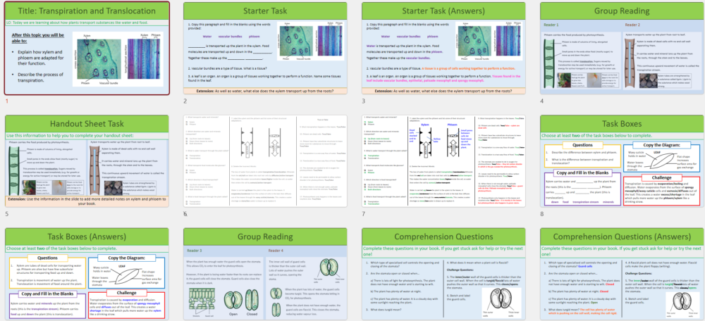 Transpiration and Translocation Thumbnails GCSE Biology Topic 2 Organisation: Transpiration/Translocation Lesson Thumbnails