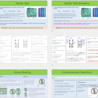 GCSE Biology Topic 2 Organisation: Transpiration/Translocation Lesson Thumbnails