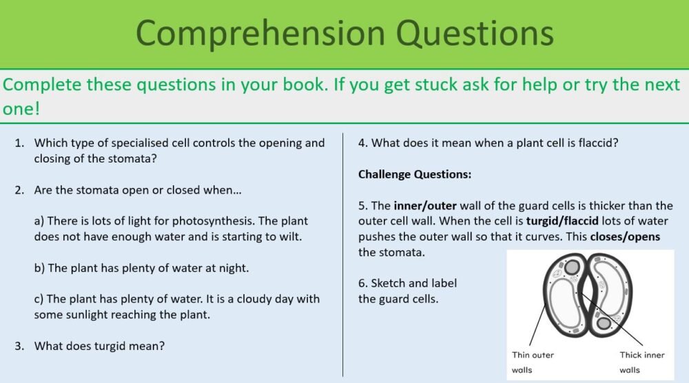 Transpiration and translocation Comp Qs Transpiration and translocation Comprehension Questions