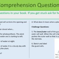 Transpiration and translocation Comp Qs Transpiration and translocation Comprehension Questions
