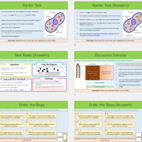 active transport PREVIEW Thumbnail of lesson slides for Active Transport