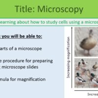 Thumbnail of lesson objectives slide for GCSE Biology Topic 1 Cells: Microscopy