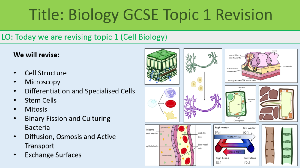 Preview of Biology GCSE Topic 1 Revision