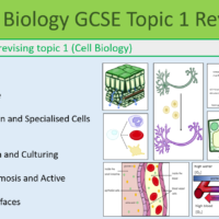 Preview of Biology GCSE Topic 1 Revision