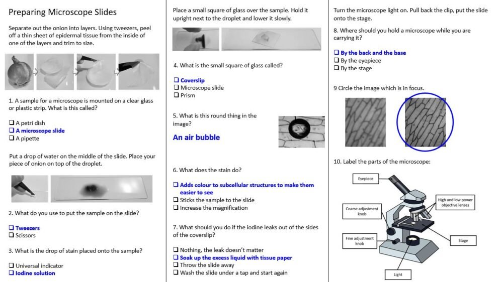 Thumbnail of preparing microscope slides from GCSE Biology Topic 1 Cells: Microscopy