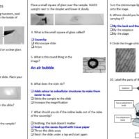 Thumbnail of preparing microscope slides from GCSE Biology Topic 1 Cells: Microscopy