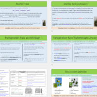 Thumbnail of lesson slides for Transpiration Rate