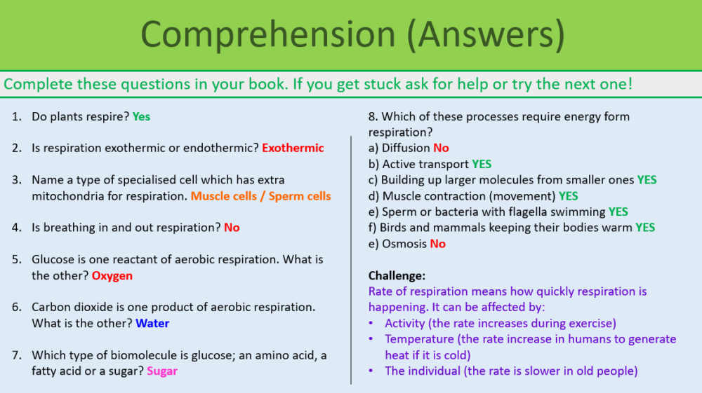 GCSE Biology Topic 4: Aerobic Respiration Comprehension task