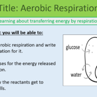 GCSE Biology Topic 4: Aerobic Respiration Lesson Objectives