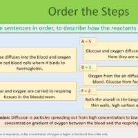 Aerobic Respiration order the steps