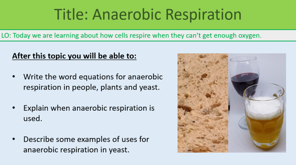 GCSE Biology Topic 4: Anaerobic Respiration Learning Objectives