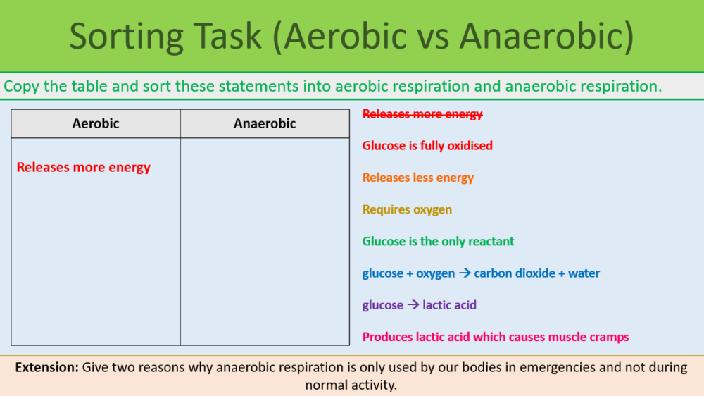 GCSE Biology Topic 4: Anaerobic Respiration sorting task