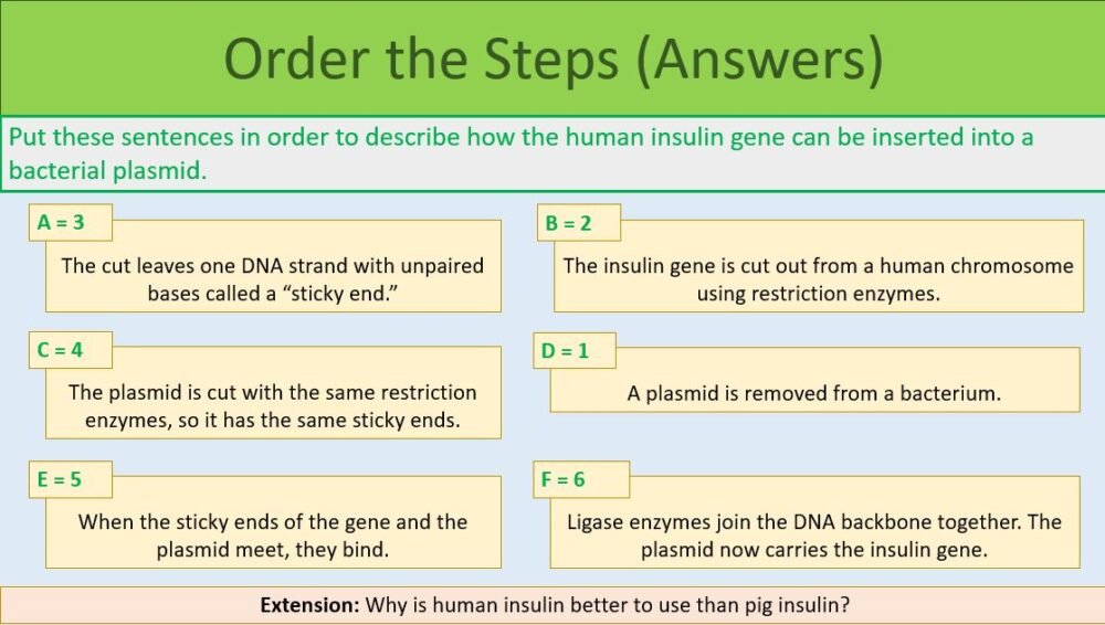 Biotechnology Order the Steps Task