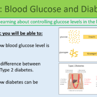 GCSE Biology Topic 5: Blood Glucose and Diabetes Lesson Objectives