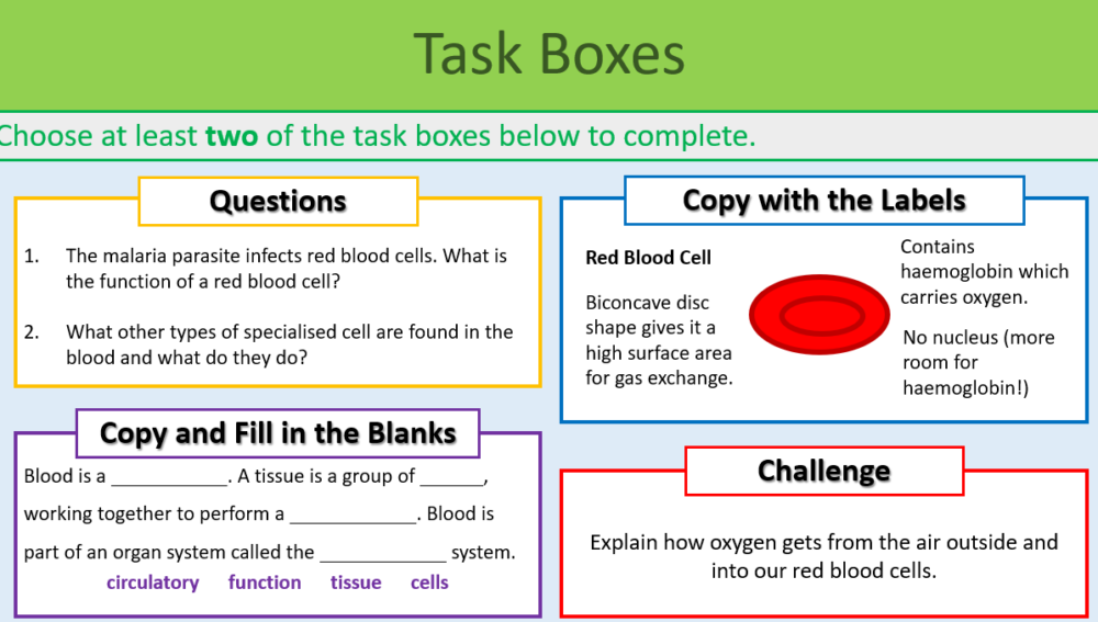 GCSE Biology Topics 1-3: Revision Case Study (Malaria) Task Boxes