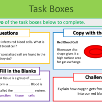 GCSE Biology Topics 1-3: Revision Case Study (Malaria) Task Boxes