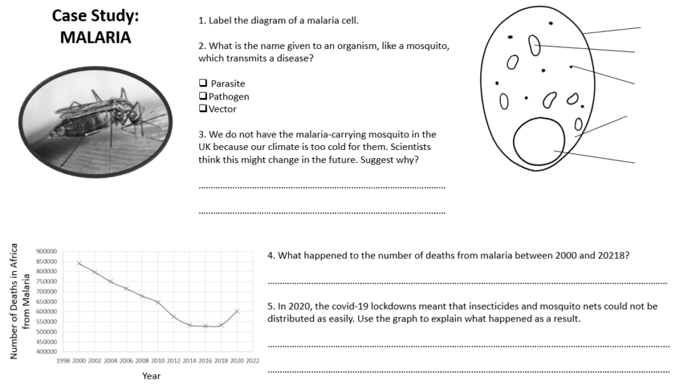 Case Study Malaria Worksheet