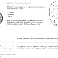 Case Study Malaria Worksheet