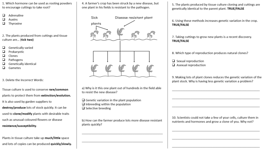 Cloning Worksheet preview