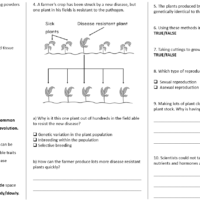 Cloning Worksheet preview