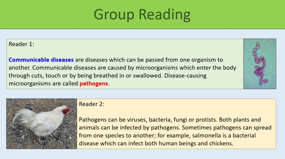 Communicable Disease Pathogens Group Reading Exercise