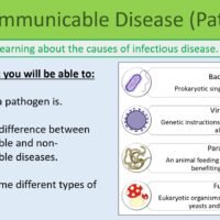 GCSE Biology Topic 3: Communicable Disease Pathogens Lesson Objectives