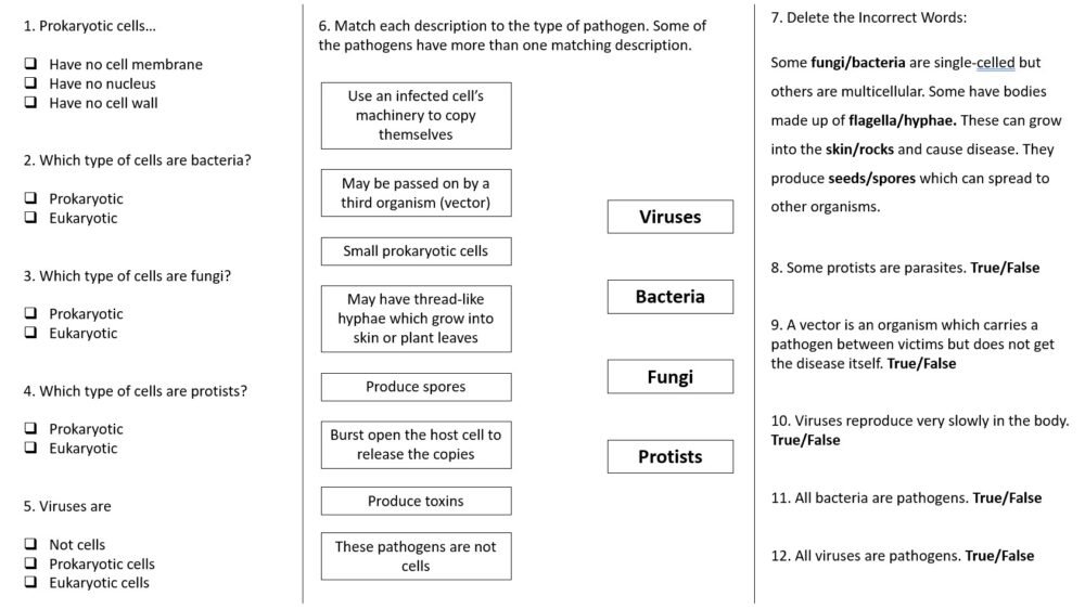 Communicable Disease Pathogens Worksheet