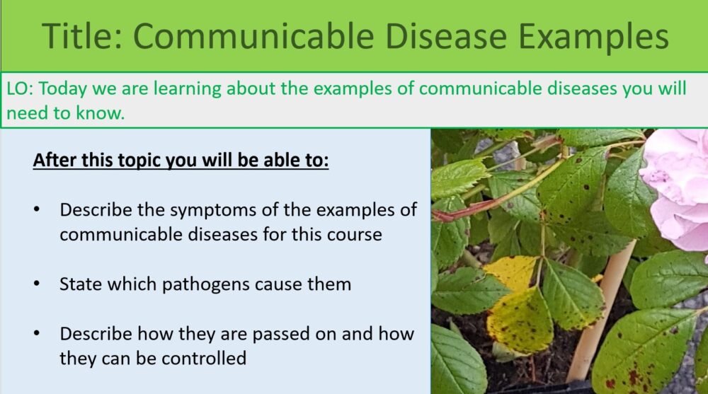 GCSE Biology Topic 3: Communicable Disease Examples Lesson Objectives