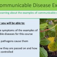 GCSE Biology Topic 3: Communicable Disease Examples Lesson Objectives