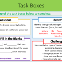 Communicable Disease Examples Task Boxes Exercise
